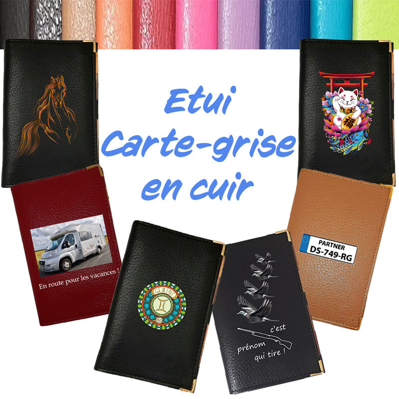 Étui carte grise en cuir